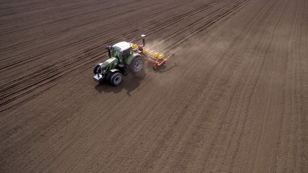 посевная  поле