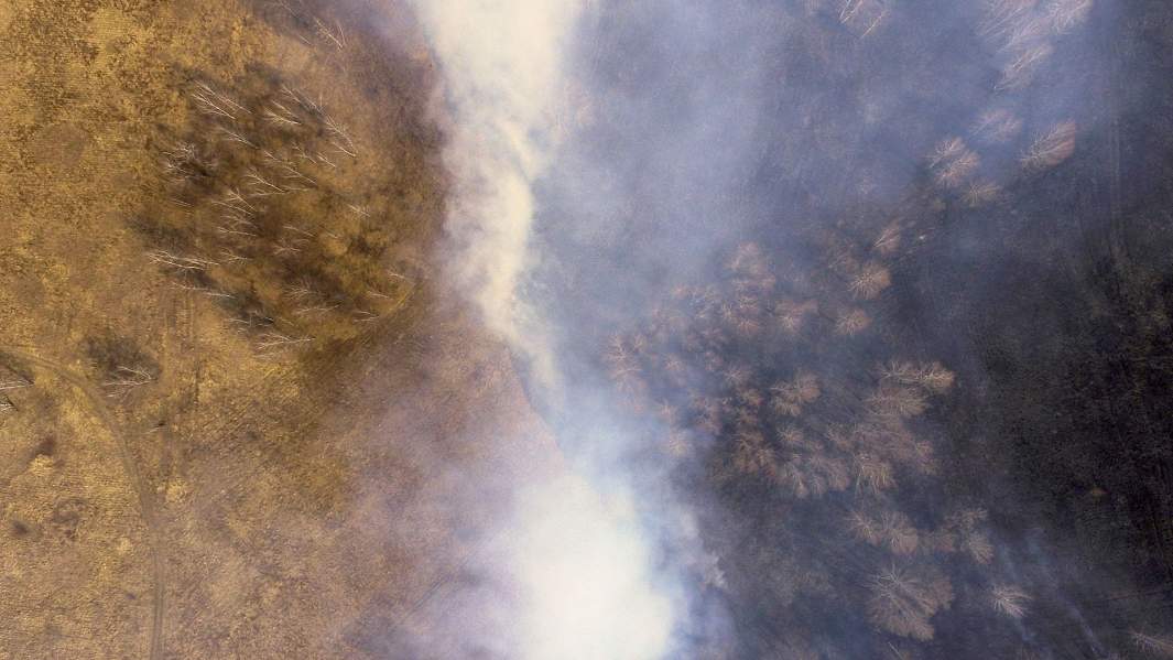 Сухая трава горит в поле в Беловском районе Кемеровской области 