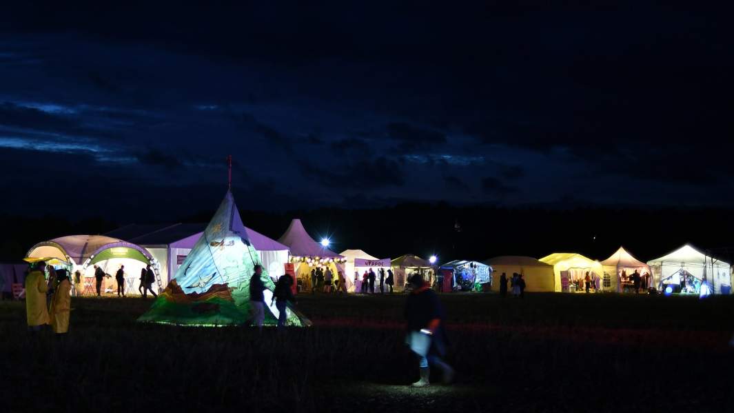 Посетители на музыкальном фестивале Дикая Мята 