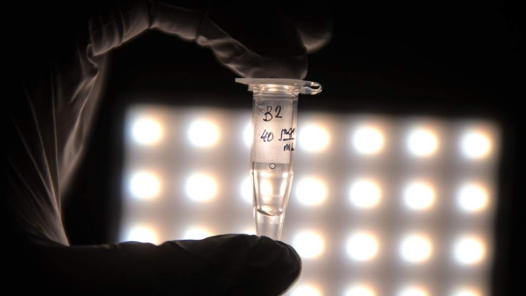 химическая лаборатория МГУ