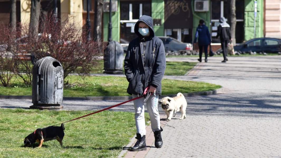 Собака чужую. Выгуливать чужую собаку. Выгул собак в Южном Всеволожске. Костюм чужого для собаки. Хозяин выгуливает собаку в дождь фото и видео.