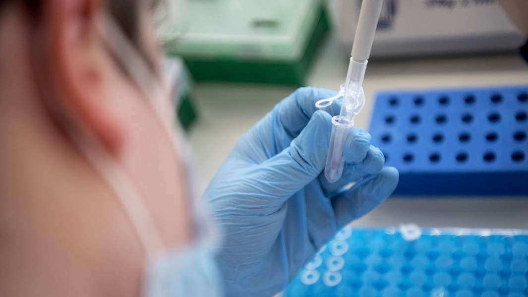 лаборатория вирус