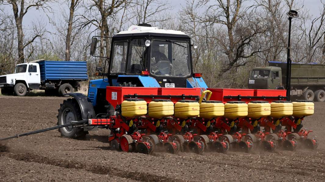 Посев подсолнечника на полях Ростовской области