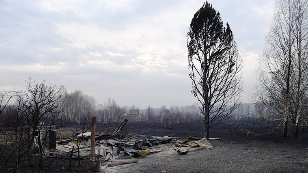 Пепелище на месте дачного дома в Новосибирской области