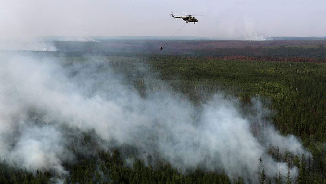 Тушение лесного пожара 