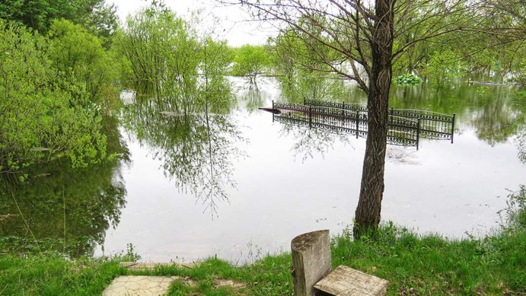 Ботанический-Сад Демидова  в Соликамске