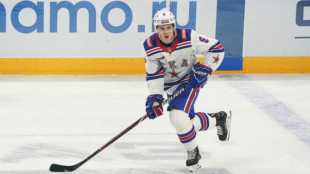 Дмитрий Кагарлицкий