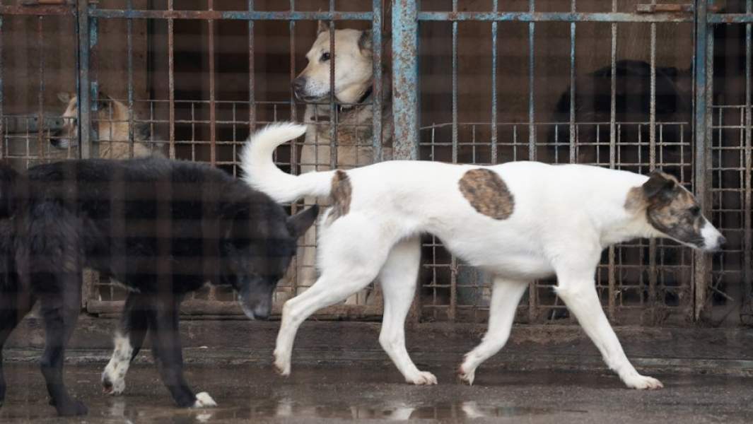 переполненный 