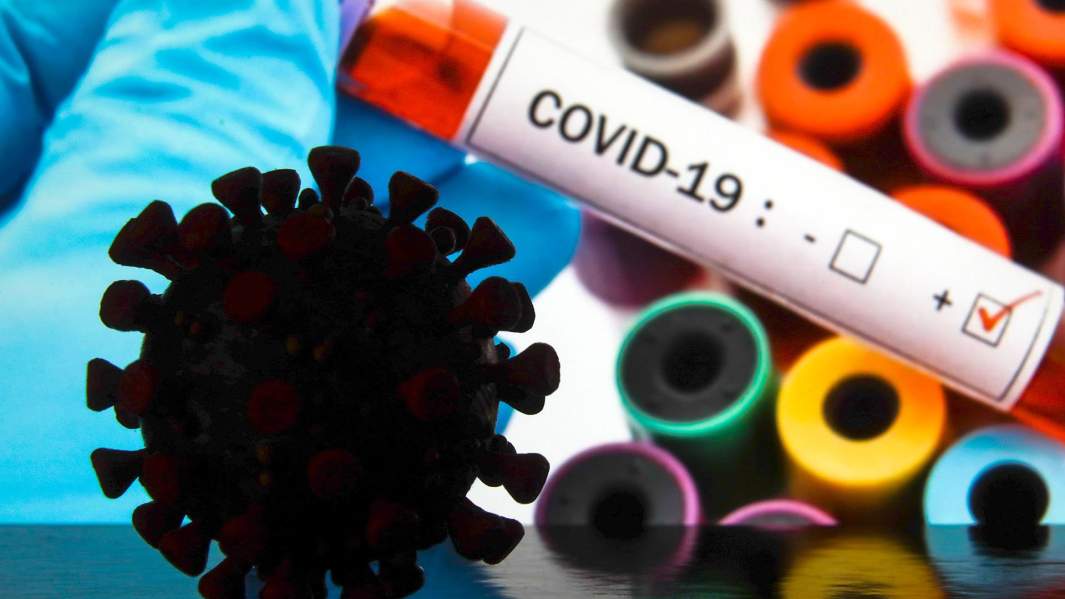 вирус короновирус