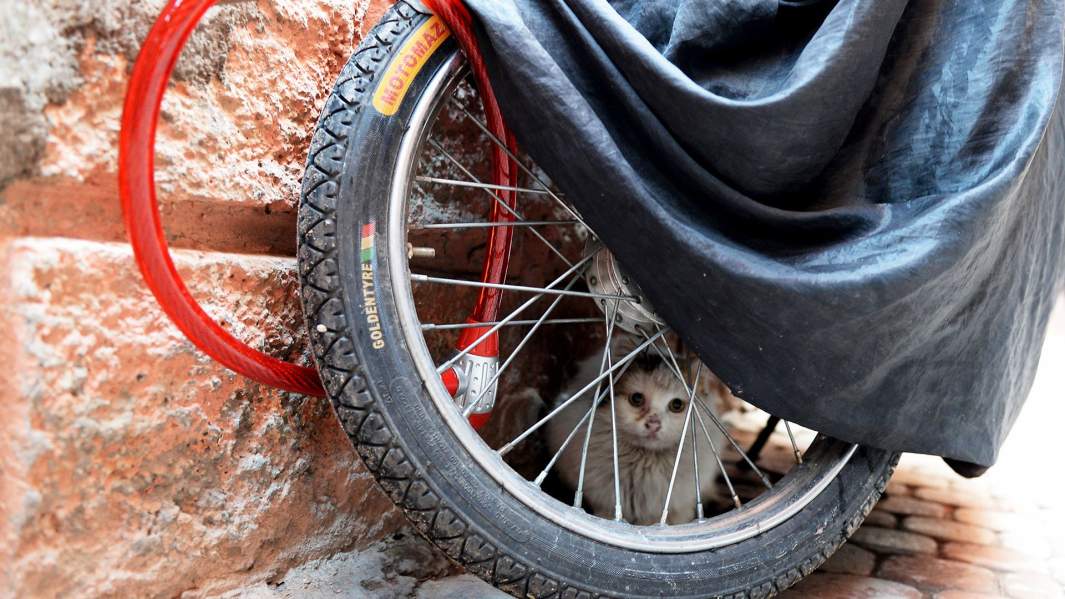 велосипед замок