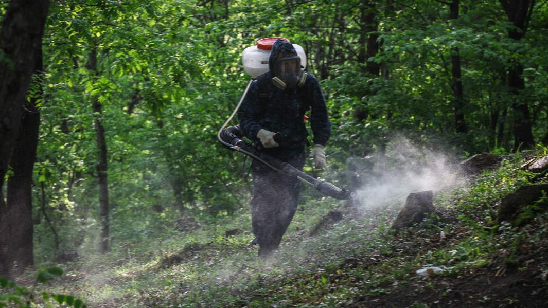 Сотрудник службы дезинфекции проводит обработку территории против клещей