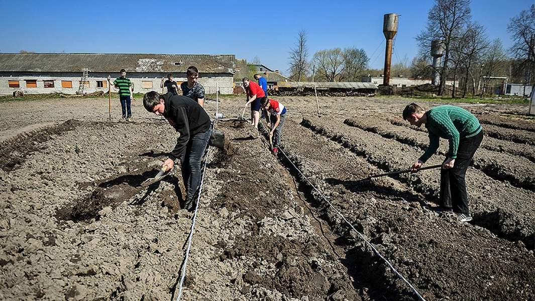 дети-сироты