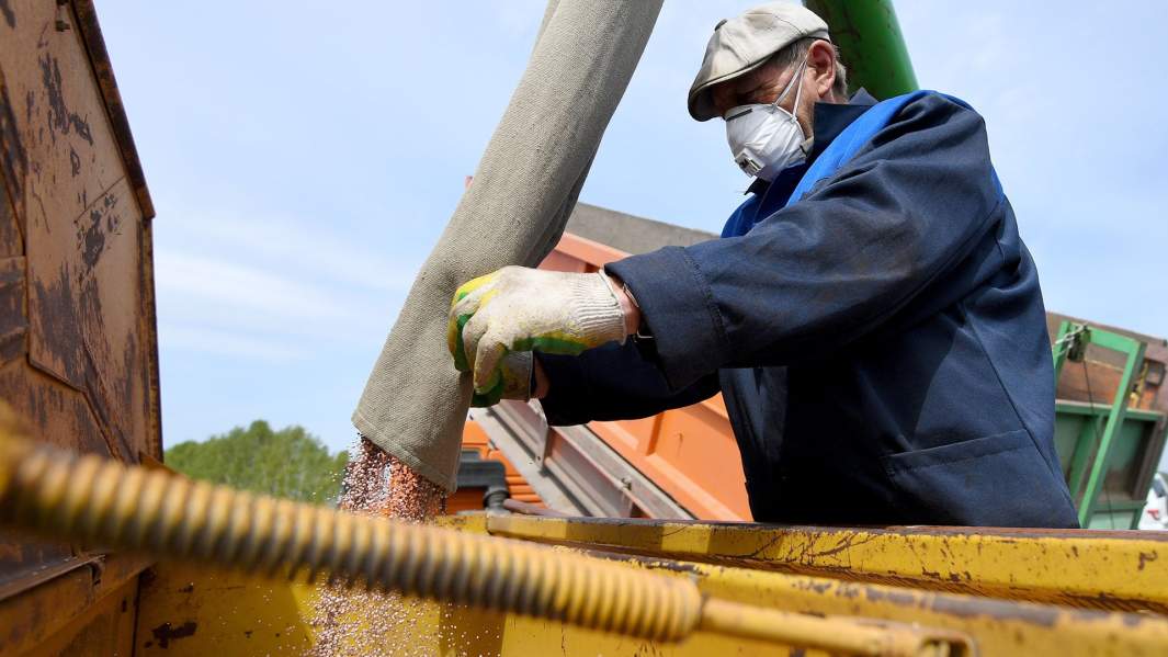 Загрузка удобрений в бункеры комбайна на полях ЗАО "Политотдельское" в Новосибирской области