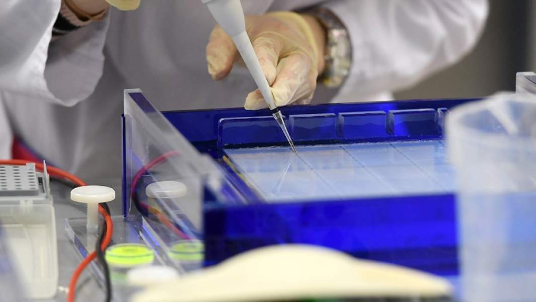 Сотрудник научно-исследовательской лаборатории готовит препарат