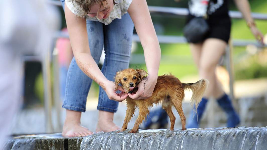 жара киев вода
