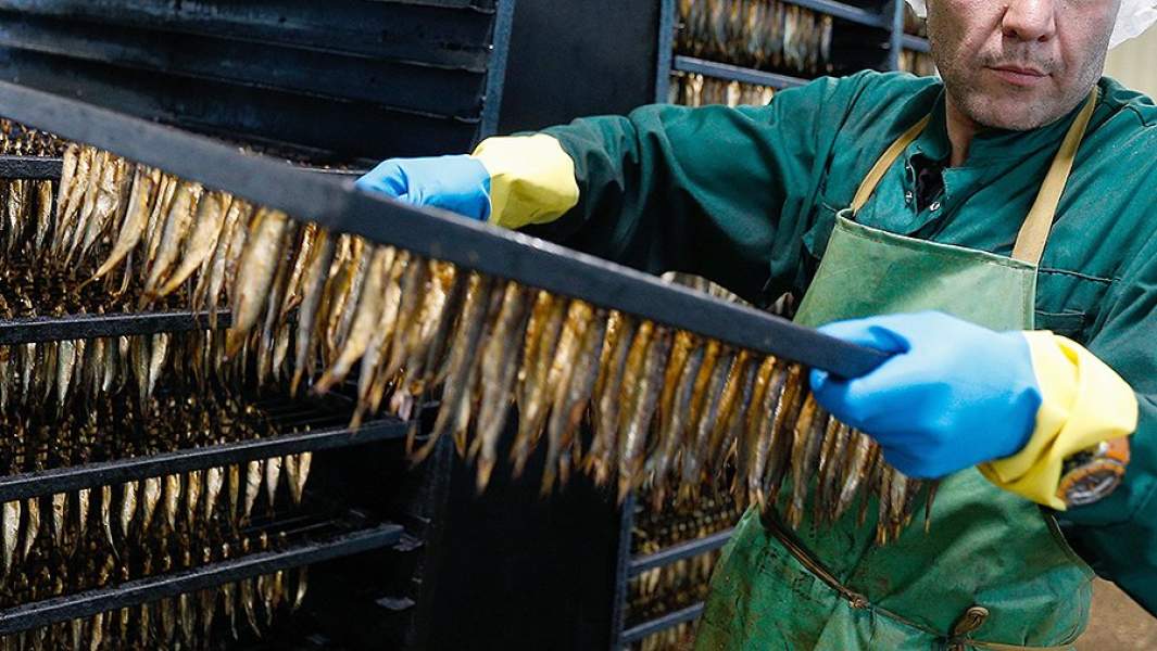 рыбный завод