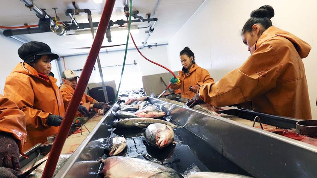 Анадырский рыбозавод