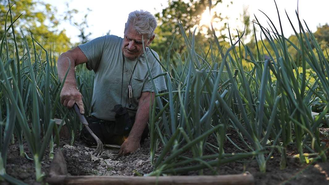 мужчина на дачном участке 