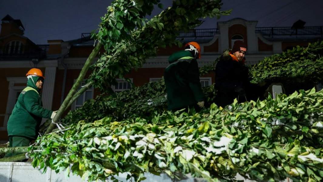 озеленение