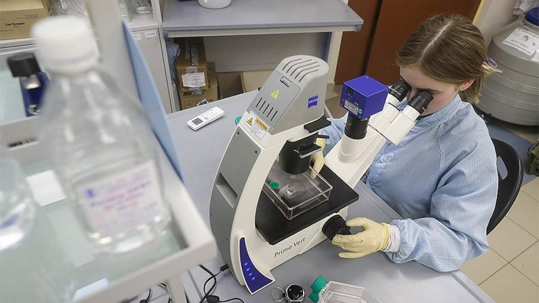 вакцина коронавирус