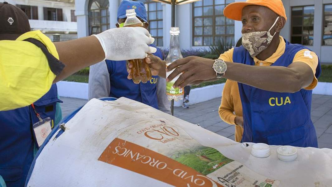 Продажа травяного напитка Covid Organics на Мадагаскаре