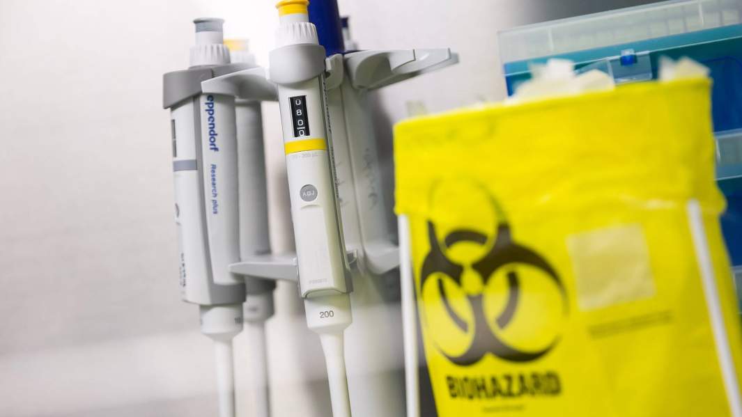 Тайна сточных вод: поиск вируса в канализации поможет сдерживать COVID