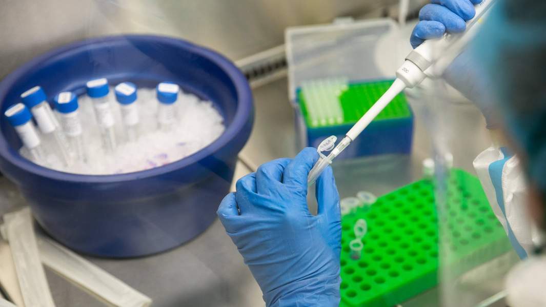 Наследие короны: SARS-CoV-2 впервые обнаружен в грудном молоке