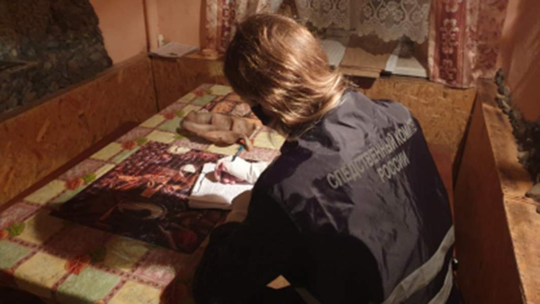 Сотрудница СК РФ во время проверки социально-бытовых условия проживания ребенка в Брянске