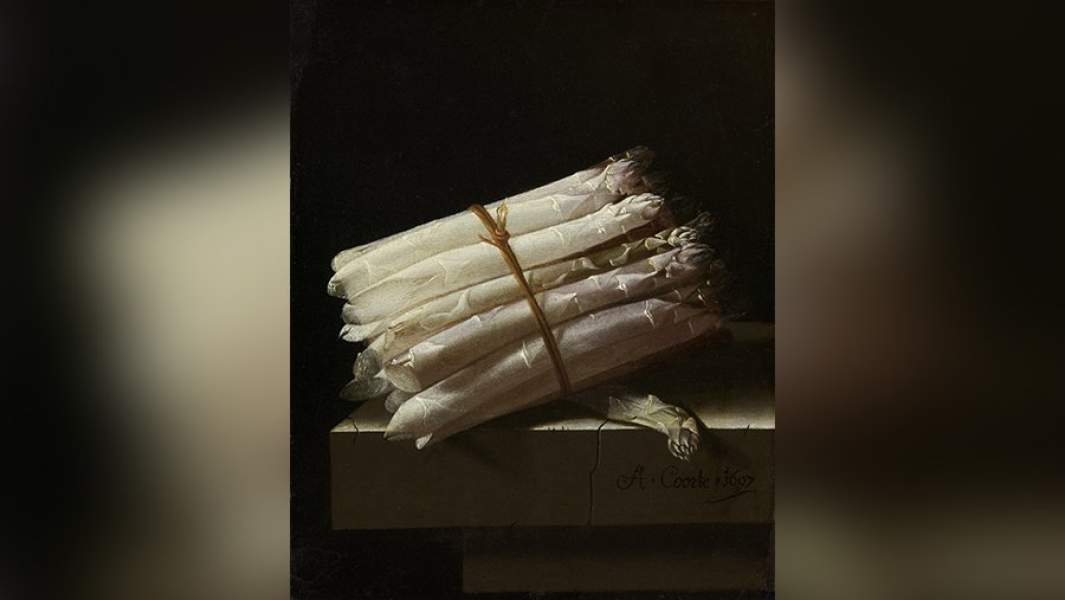 Художник Адриан Корте. Натюрморт со спаржей. 1697 год