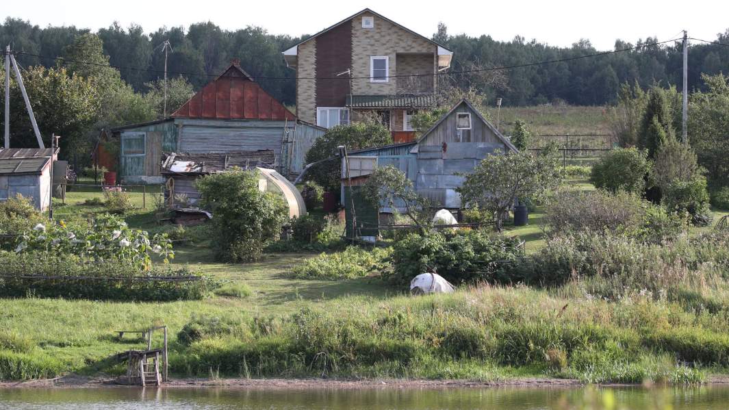 По онлайн ответят: садоводам и огородникам разрешат голосовать заочно
