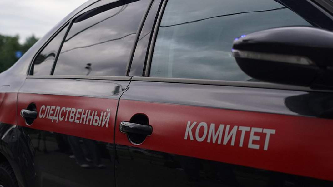 Превышение в лесу: на Алтае завели дело на чиновника Минприроды края