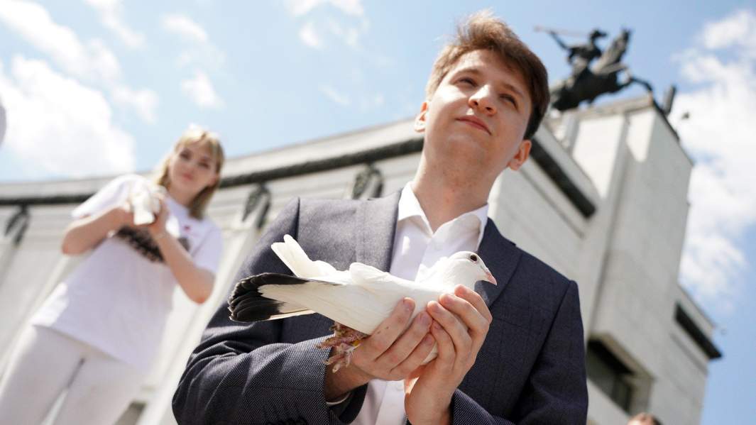 голуби  победа акция