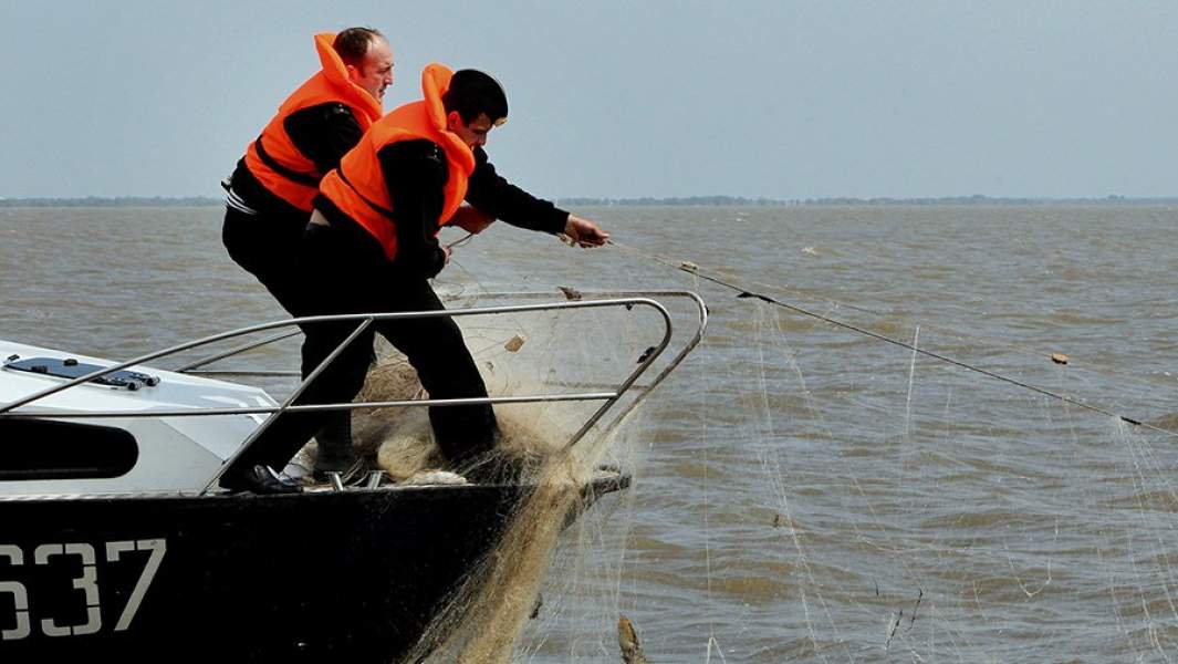 Пограничники вынимают из воды браконьерские сети во время рейда