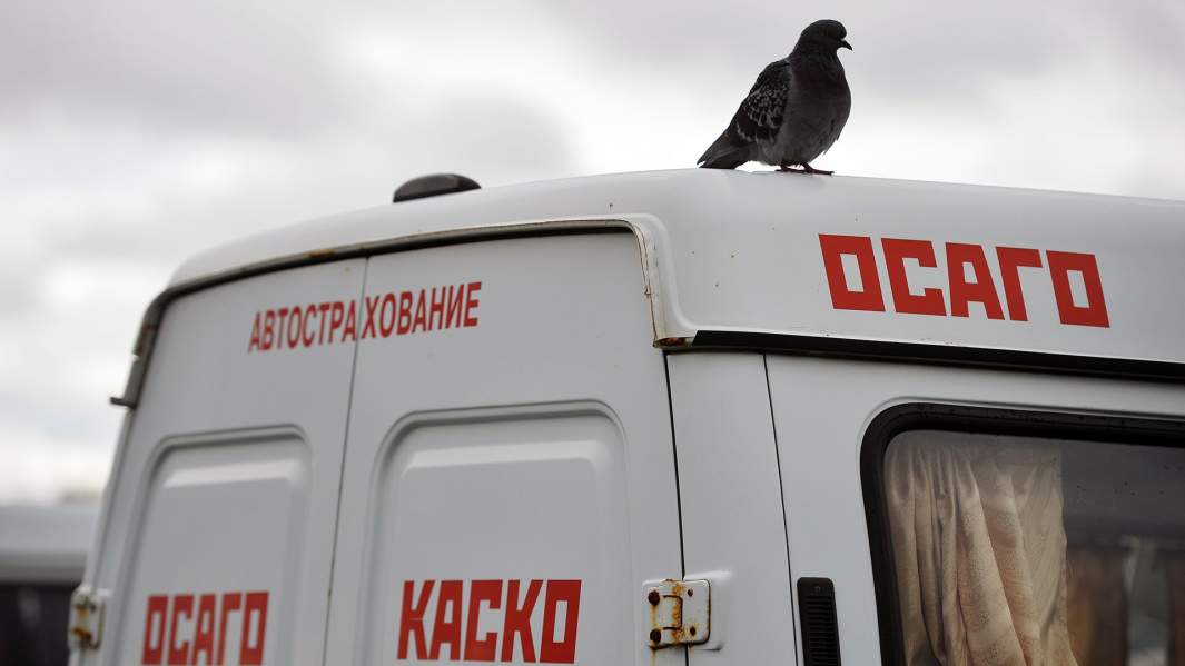 осаго каско страховка