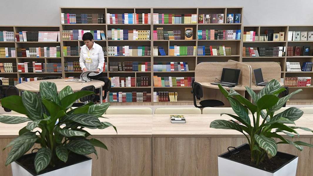 библиотека книги