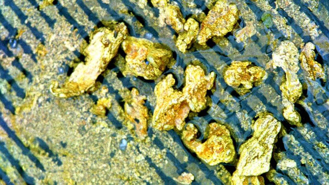 Рассыпное и рудное золото, добытое на территории Среднего Урала