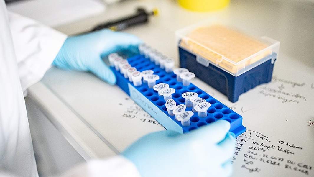 исследования