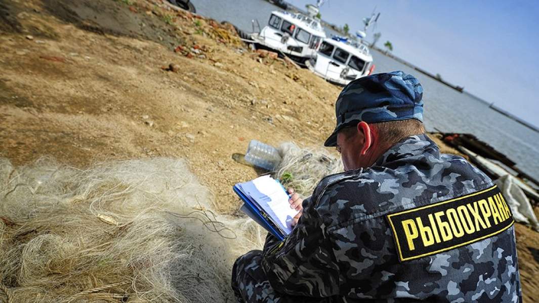 Сотрудник рыбоохраны во время заполнения протокола по изъятию браконьерских рыболовных сетей