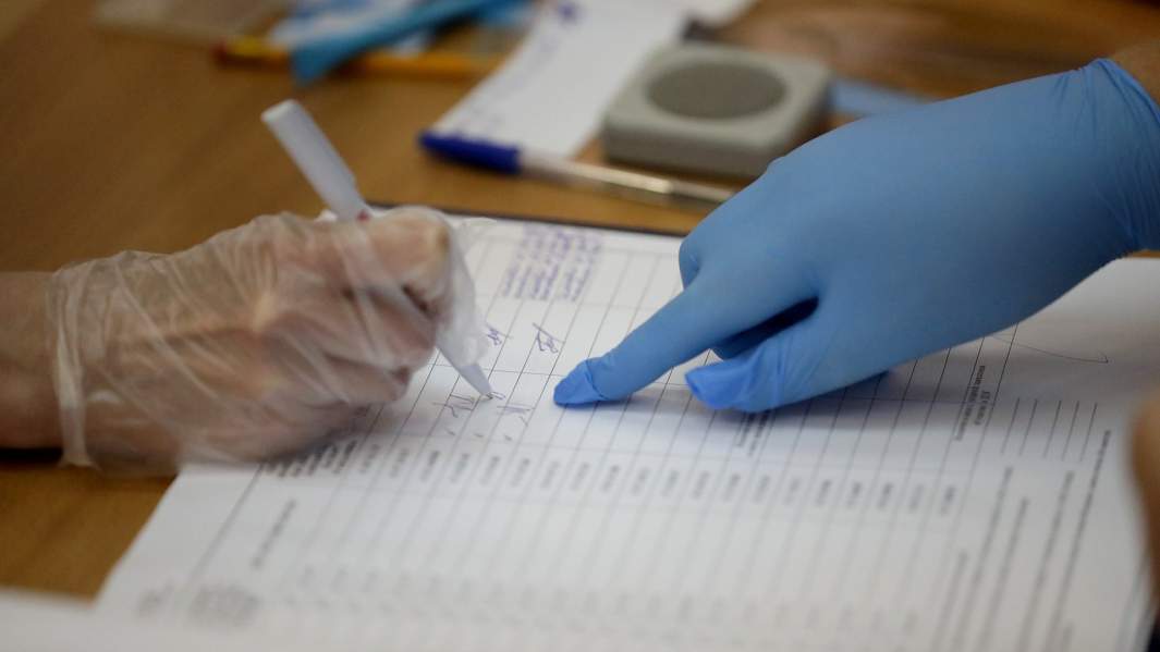 голосование поправки