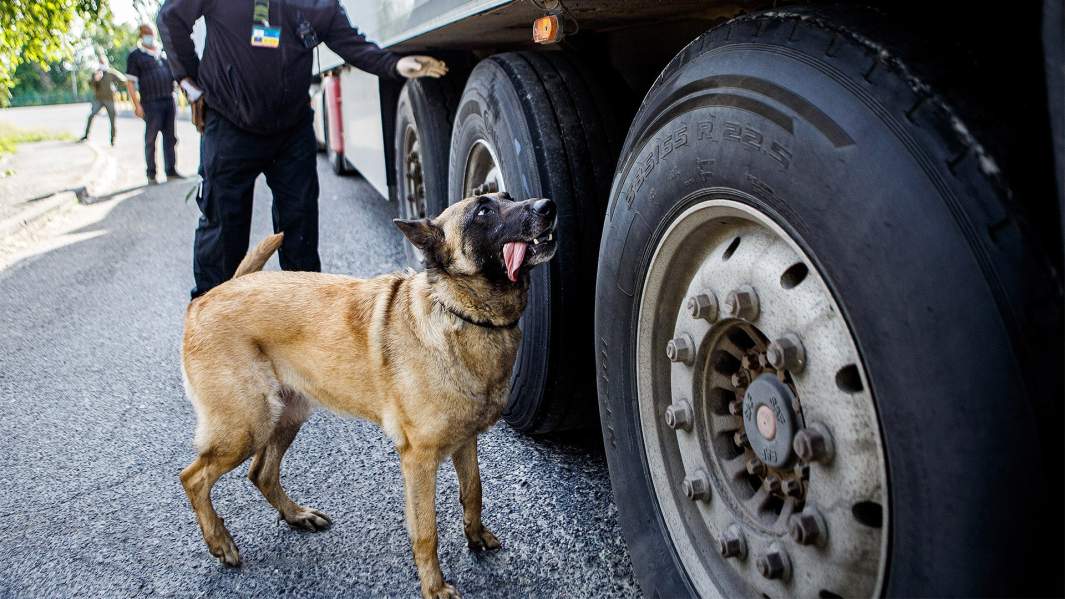 украина контрабанда