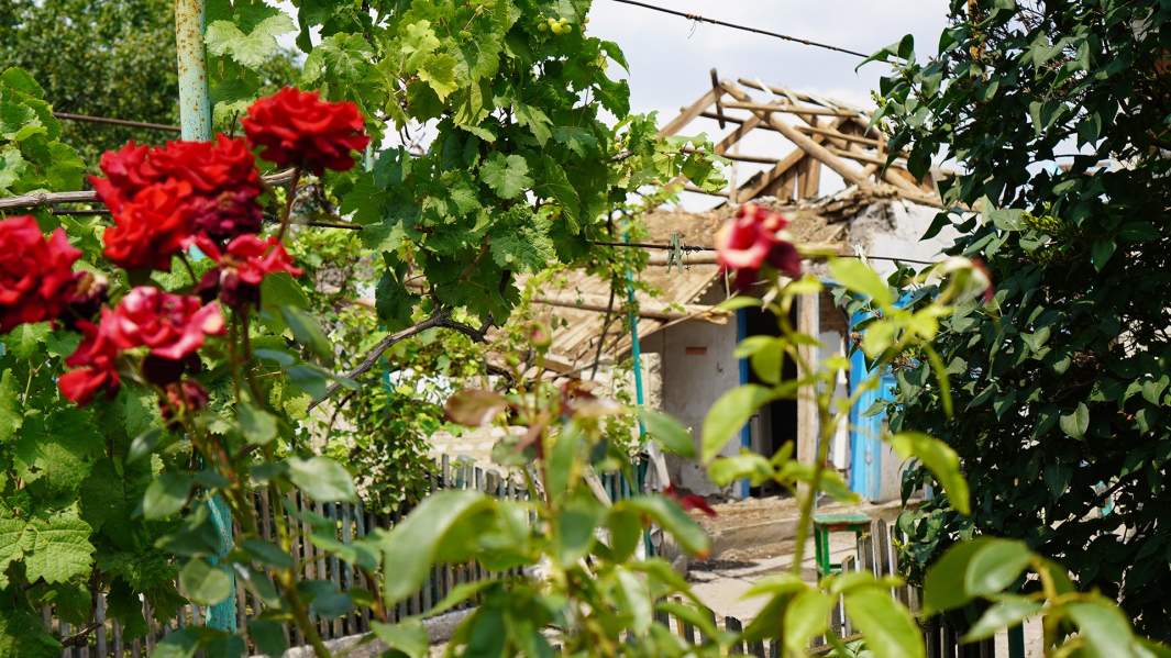 Дочка прибежала и сказала, что стрелять больше не будут