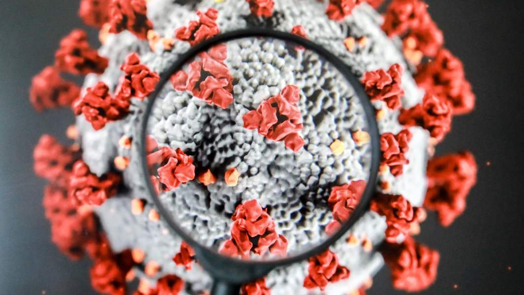 вирус короновирус