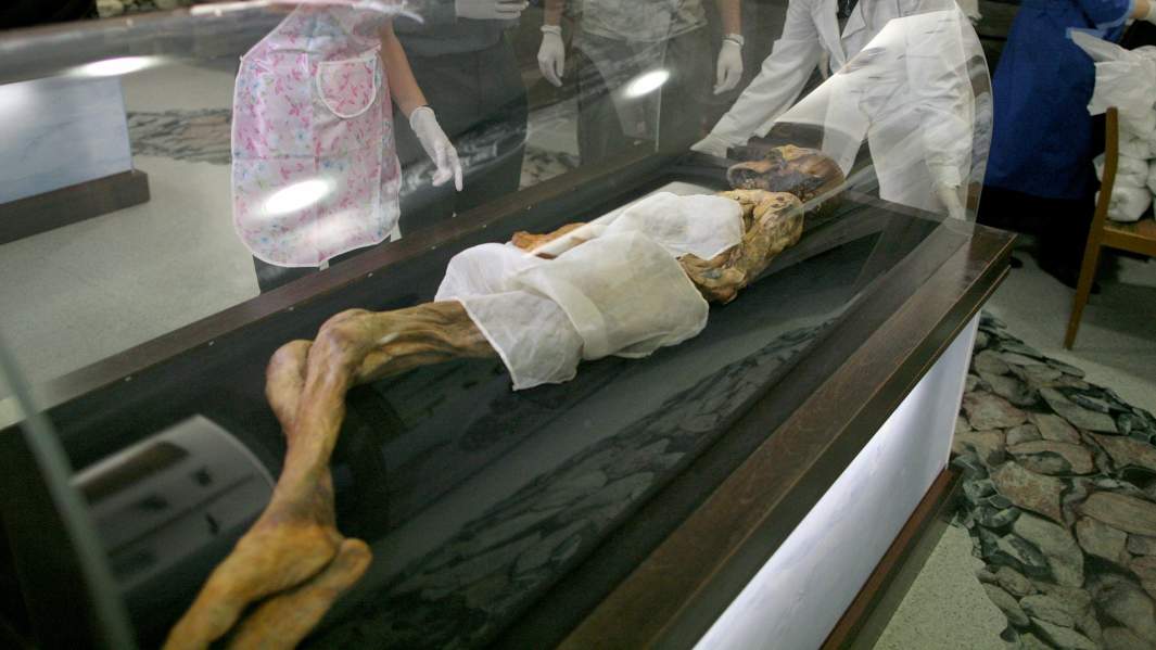 Сотрудники музея института археологии и этнографии СО РАН упаковывают мумию ""Принцессы Укока" для передачи ее в национальный музей имени А. В. Анохина в Республике Алтай