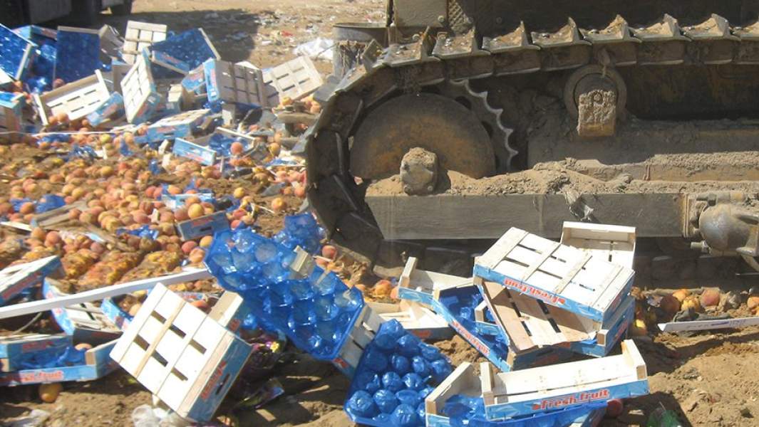 Уничтожение санкционной продукции