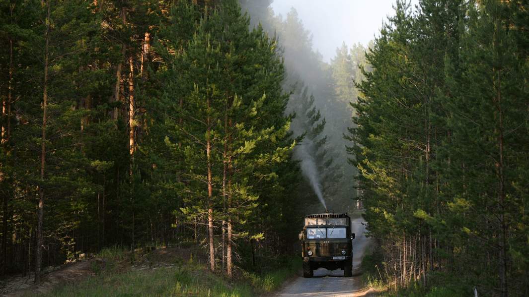 Обработка хвойных лесов препаратами для уничтожения гусениц шелкопряда