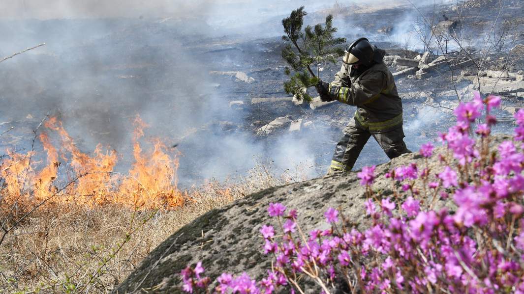 Сотрудник пожарной службы МЧС РФ во время тушения природного пожара в районе поселка Антипиха в пригороде Читы