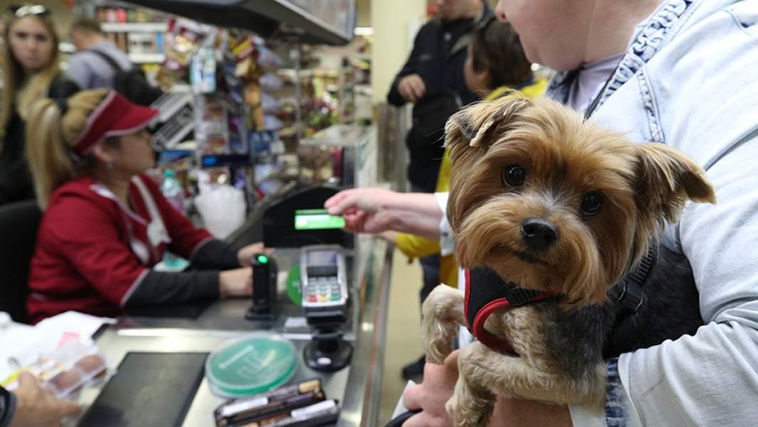 Пополнение карты на кассе