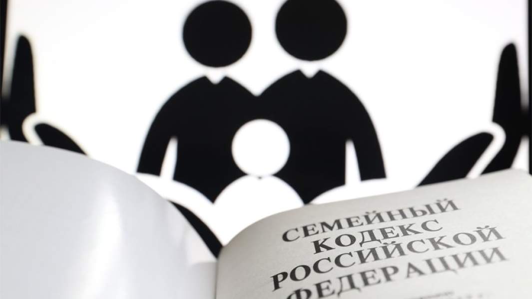 Аспекты суррогатного материнства. Суррогатное материнство картинки. Проблемы суррогатного материнства. Суррогатное материнство картинки для презентации.