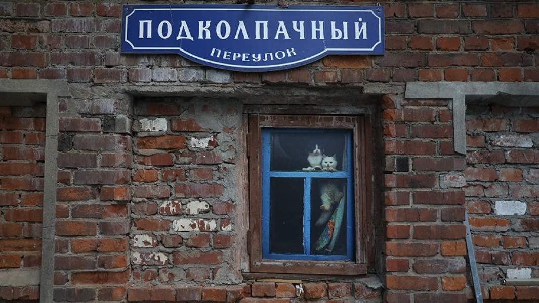 Кот платежом красен: депутаты уточнили законопроект о запрете изъятия животных