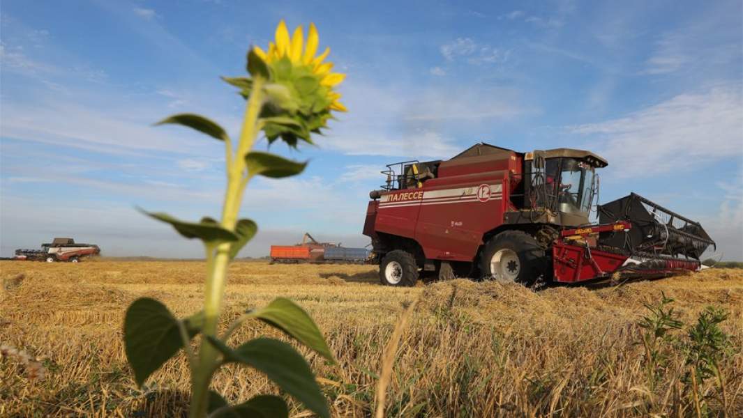 сельскохозяйственное